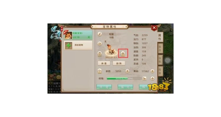 宠物模式怎么开,宠物技能怎么开